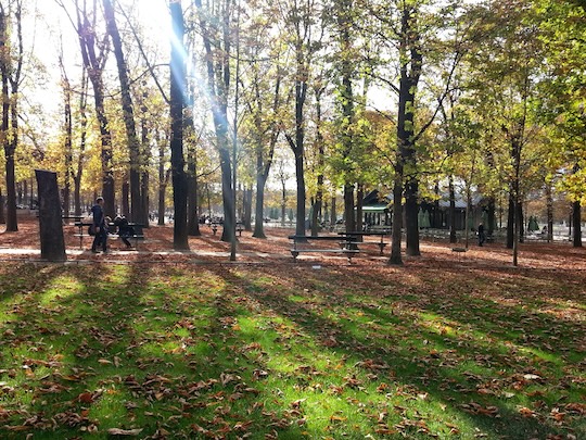 By the Medici Fountain in the Luxembourg Gardens