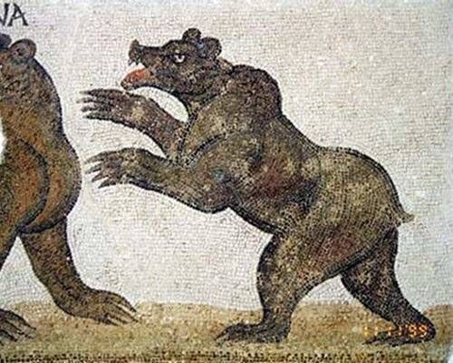 Roman mosaic of Atlas bear 'Ursus arctos crowtheri,' a brownish black bear from the Atlas mountains of Africa