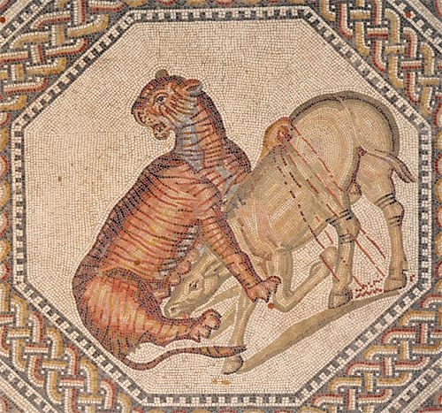 Atlas wild ass 'Equus africanus atlanticus,' an African wild ass with stripes on its legs and crossing its shoulders, here shown in a mosaic being attacked by a lion