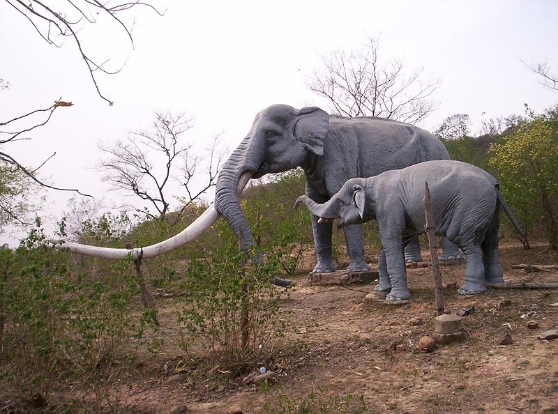 'Stegodon,' photo of fiberglass life-size models (tusks measuring 18 feet) by Vjdchauhan.