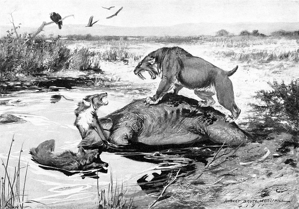 'Smilodon californicus' and 'Canis dirus' fight over a 'Mammuthus columbi' carcass at the La Brea tar pits, drawn by Robert Bruce Horsfall