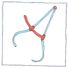 Illustration of Anthropometry