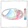 Illustration of Cosmic rays