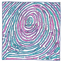 Illustration of Fingerprint