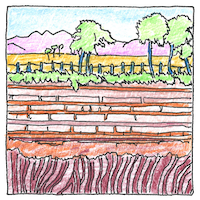 Illustration of Earth cycles