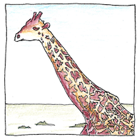 Illustration of Acquired characteristics