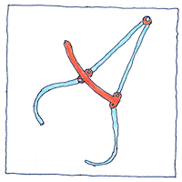 Illustration of Anthropometry