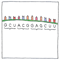 Illustration of Genes