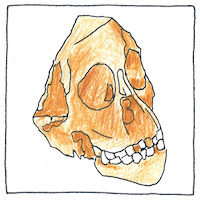 Illustration of Tuang child