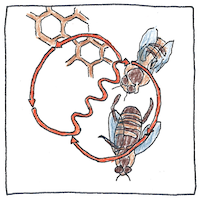 Illustration of Dancing bees
