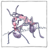 Illustration of Sociobiology