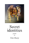 book cover of Secret identities