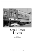cover of “Small-town lives” by Tom Sharp