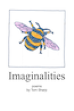 cover of “Imaginalities” by Tom Sharp
