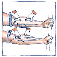 Illustration of Circulation of the blood