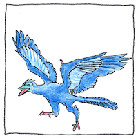 Illustration of Archaeopteryx
