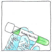 Illustration of Rabies vaccine