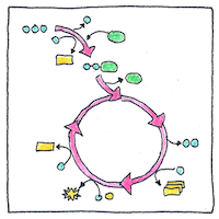 Illustration of Citric-acid cycle