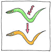 Illustration of Molecular genetics