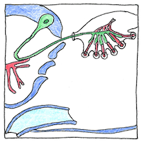 Illustration of Nerve impulses