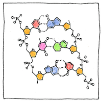 Illustration of DNA structure