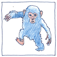 Illustration of Chimpanzees and humans