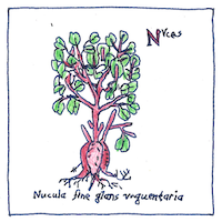 Illustration of Botany