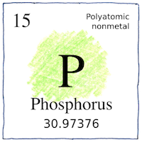 Illustration of Phosphorus