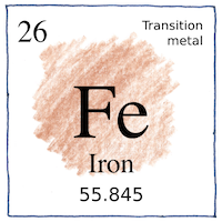 Illustration of Iron
