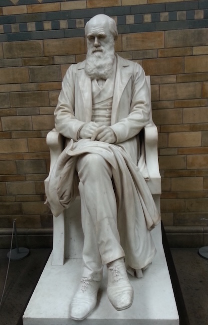 Statue of Charles Darwin, seated, on the landing of the stairs at the Natural History Museum in London