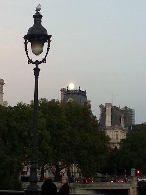 A seagull roosts on a lamppost and the moon rises below it, as we cross the Seine.
