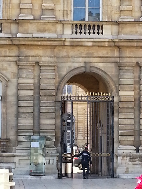Luxembourg palace gate and guard
