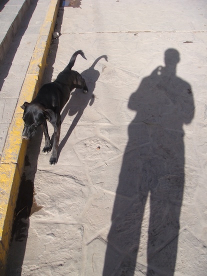 Dog stretching in the plaza next to my shadow