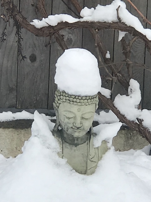 Buddha in our back yard