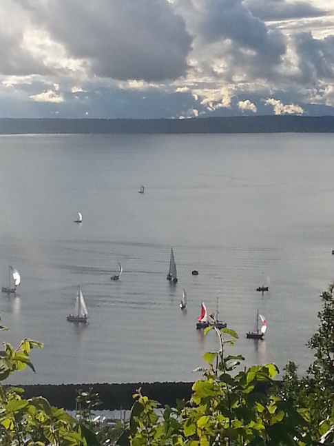 Small sailboats beyond Shishole Bay Marina, Puget Sound